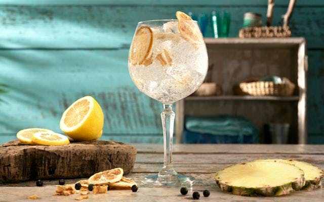 Top tips for making the perfect gin and tonic &gt;&gt;