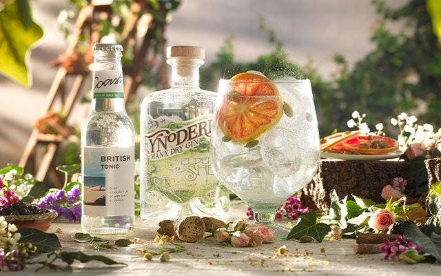 Fynoderee dry gin mix 