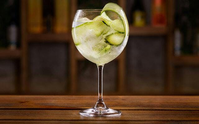 gin and tonic with cucumber garnish.jpg