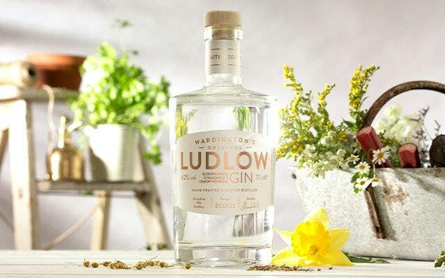 Ludlow Elderflower, Chamomile & Lemon Verbena Gin