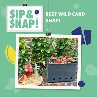 BEST WILD CARD SNAP!