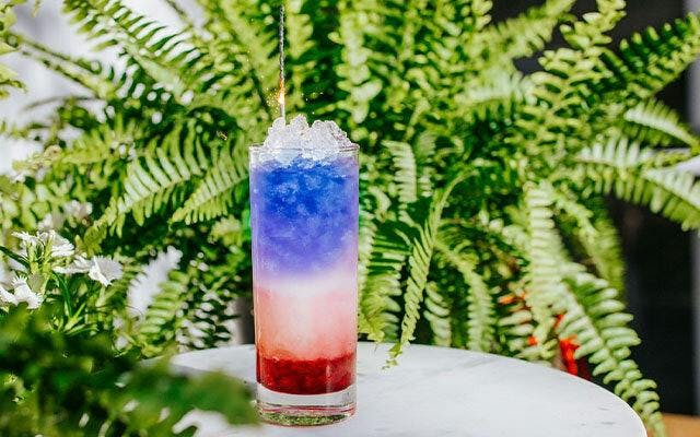 American gin cocktail