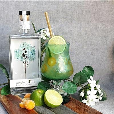 We’re getting extreme tropical vibes from this Jade Blossom cocktail that member, Allison S., has rustled up! Bravo, Allison!