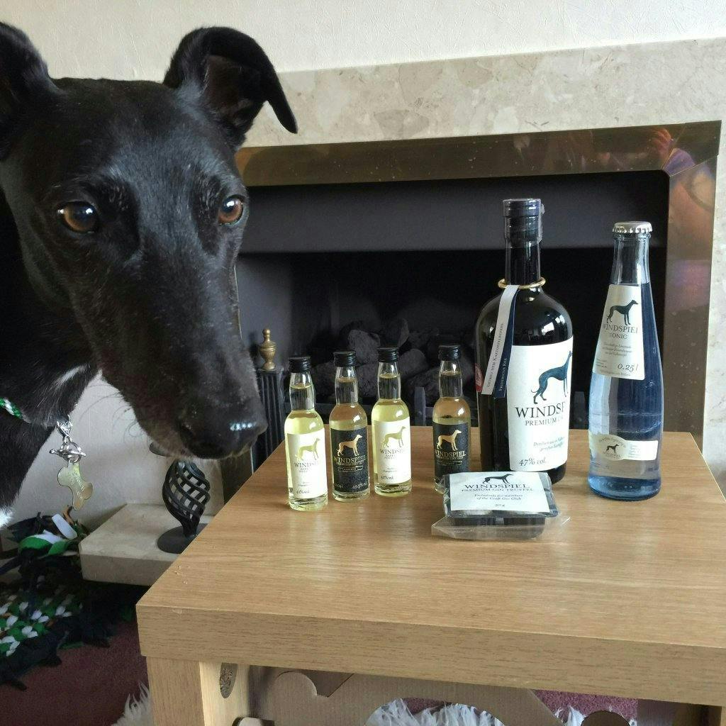 windspiel gin and tonic set dog