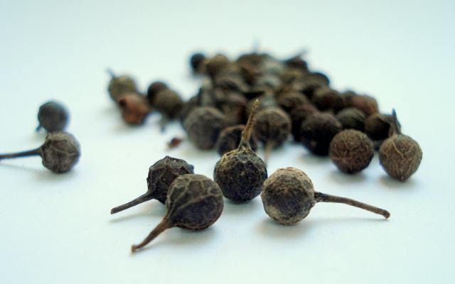 Botanical guide: the cubeb pepper and a spiced shortbread
