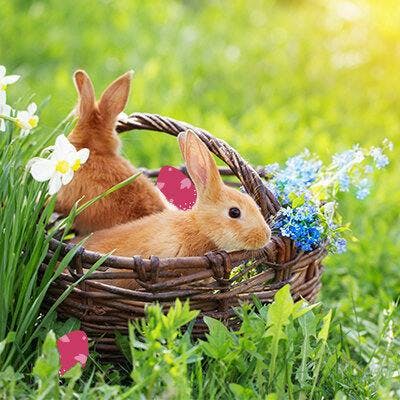 Easter basket 