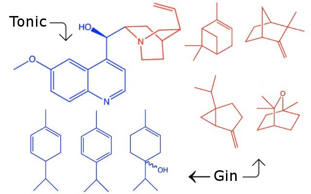 tonic and gin science atoms molecules