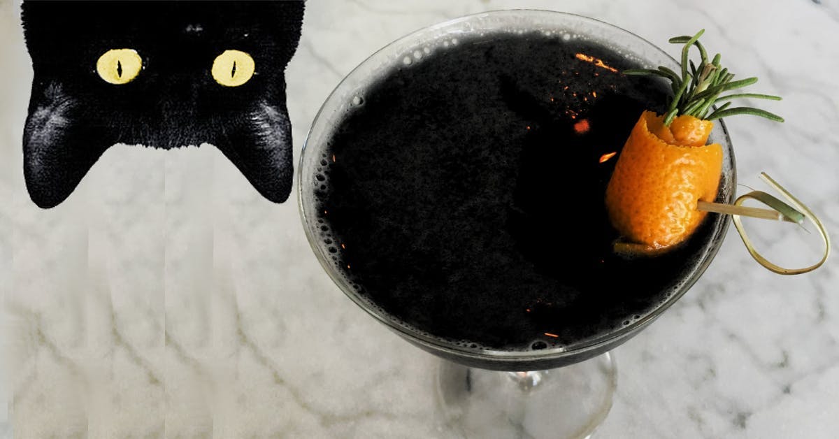 Haunted halloween gin cocktail black cat