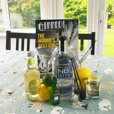 NB gin and tonic lemon