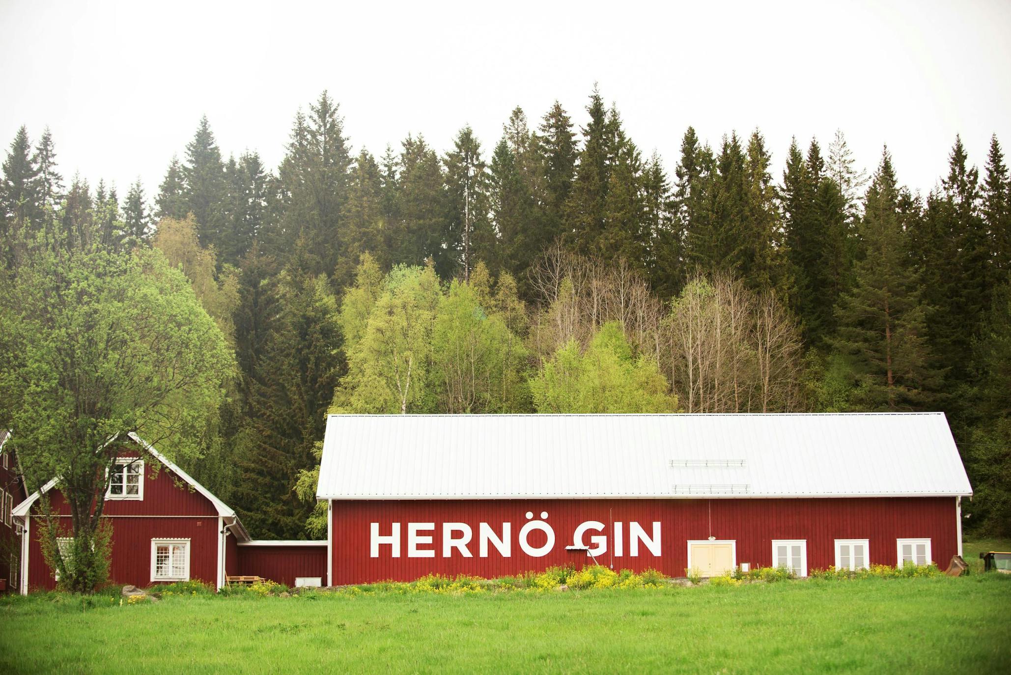 Swedish Spirit: The man behind Europe's most awarded gin