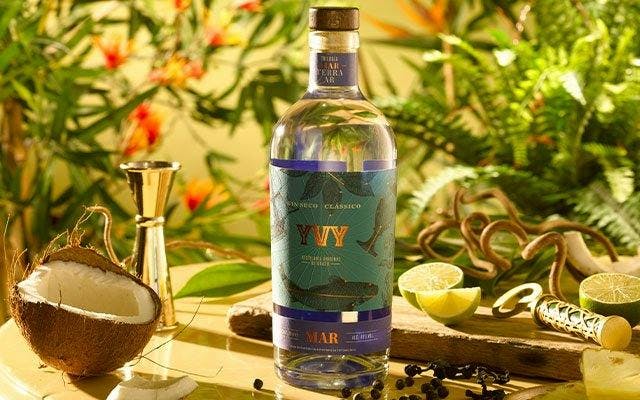Craft Gin Club's January 2023 Gin of the Month, Gin YVY Mar