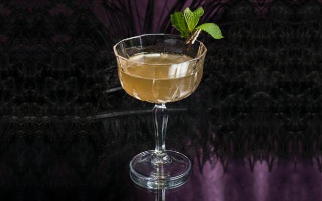 Wild martini and mint garnish in martini glass
