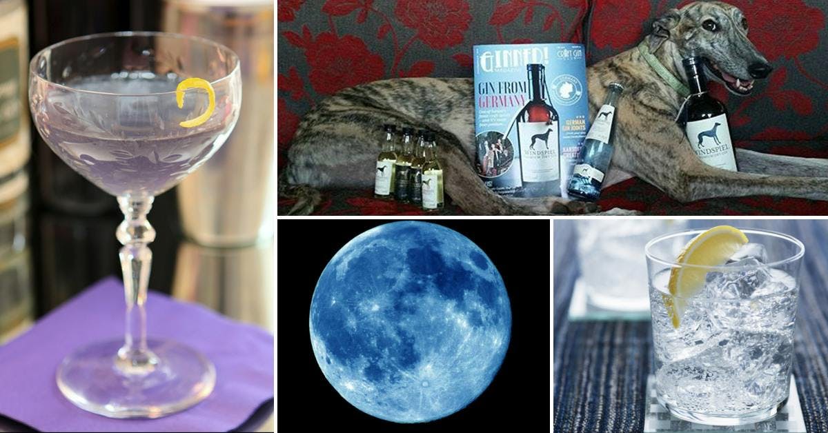 The Week in Gin: Blue Moons, Gin Dogs and the Science of G&Ts...
