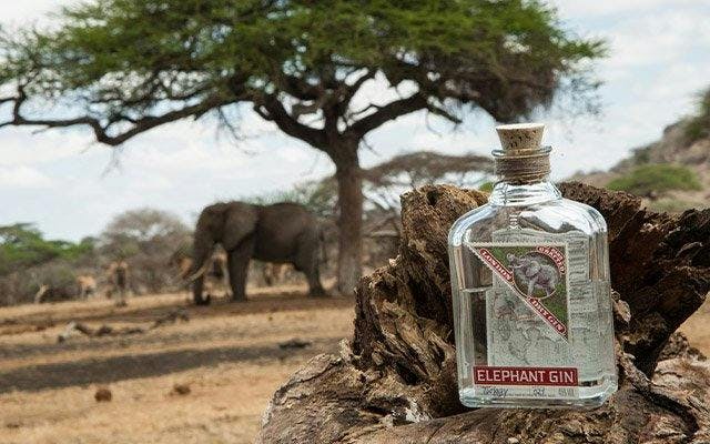 Elephant Gin origin