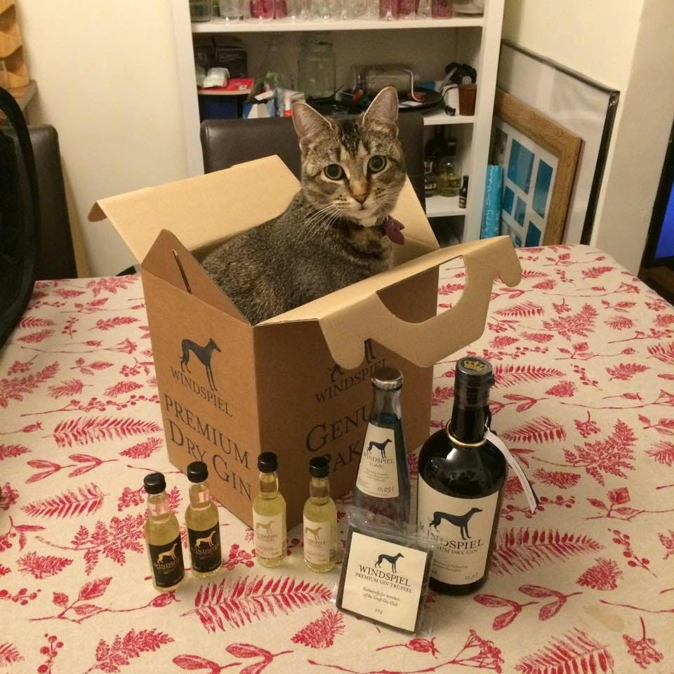 windspiel gin and tonic set cat