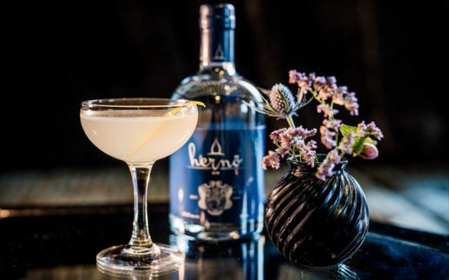 herno swedish gin traditional blue aviation cocktail