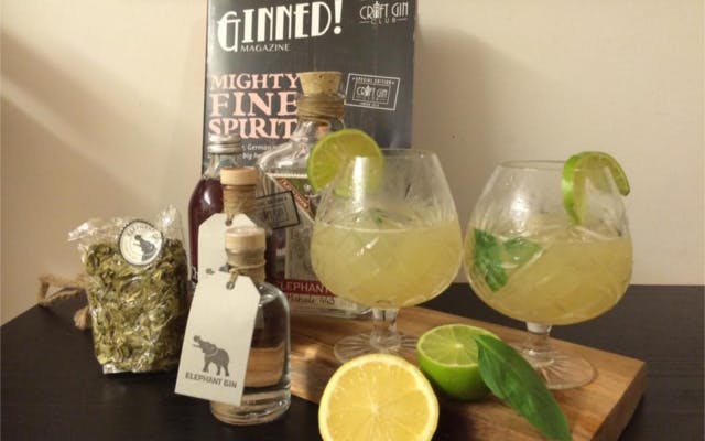 Elephant gin ginstagram runner up