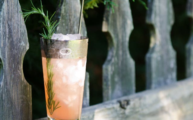 evergreen swizzle gin cocktail