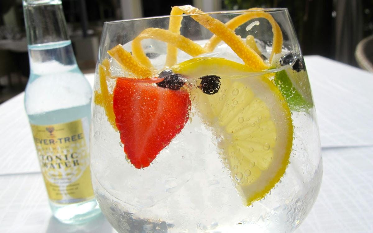 Science nails down the perfect G&T. Or does it?