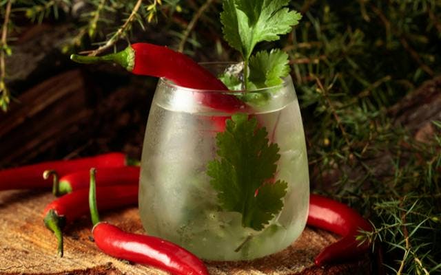 Gin and chilli