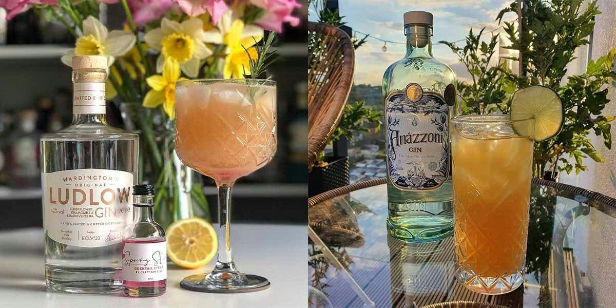 Discover five of our favourite gins for spring!