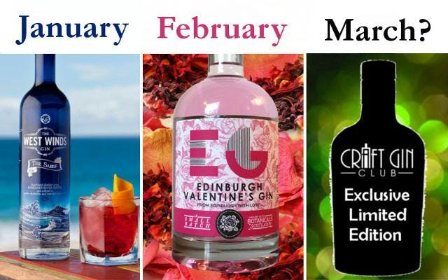 gin of the month craft gin club join