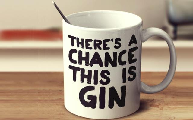 10 things all gin lovers have secretly done
