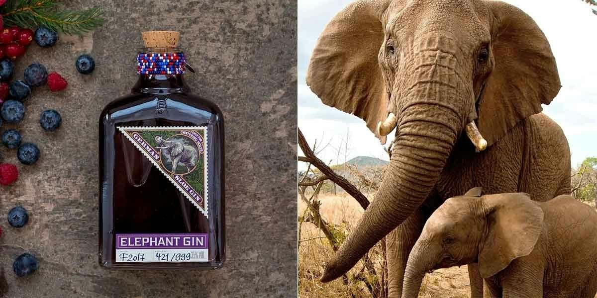 FREE SLOE GIN: To celebrate World Elephant Day, Craft Gin Club is giving away Elephant Sloe Gin! 