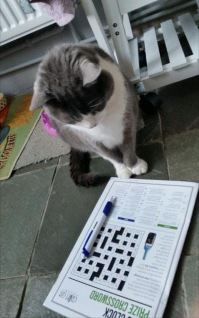 Members really got stuck in to April's crossword. Pic: Jenny Hutchinson