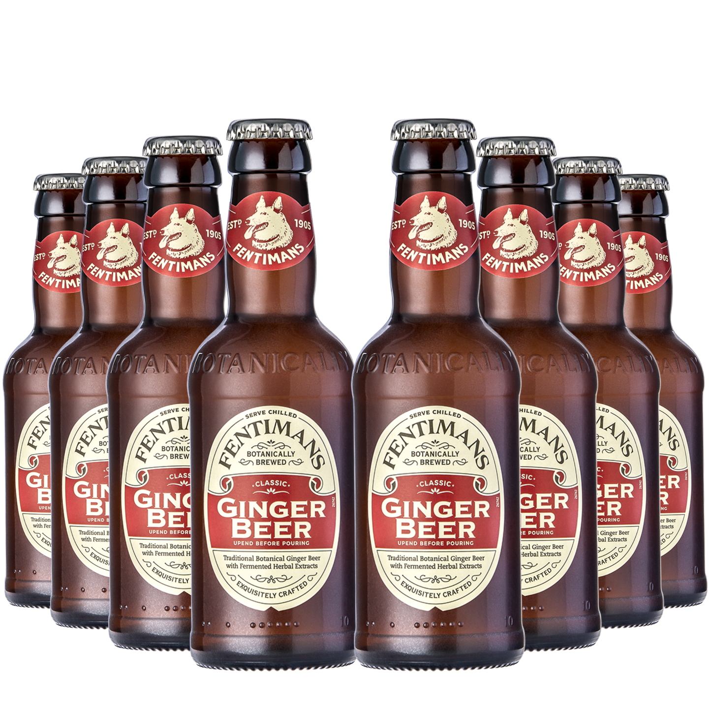 Fentimans Gemberbier (8 x 200 ml)
