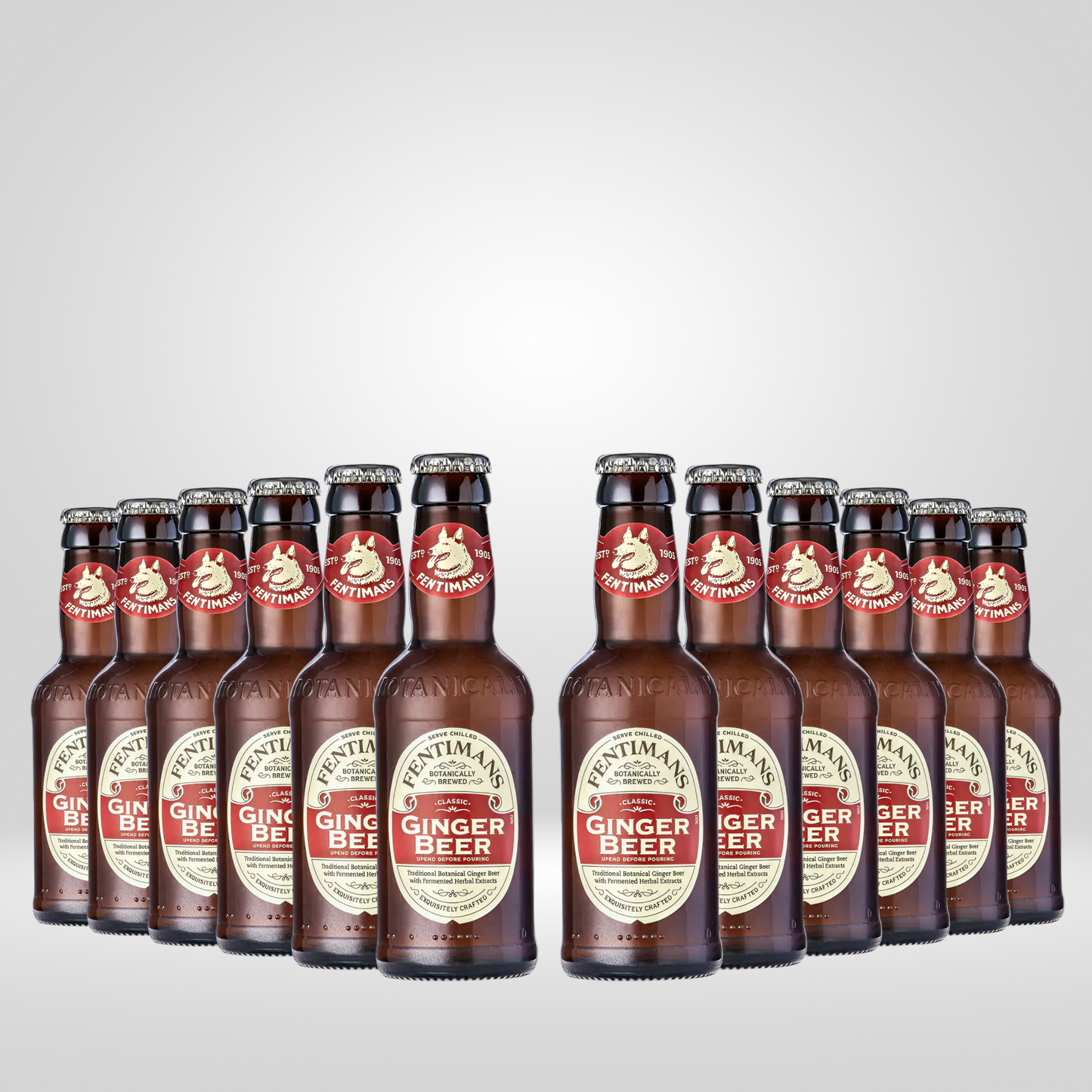 Fentimans Ginger Beer | 12 x 200ml