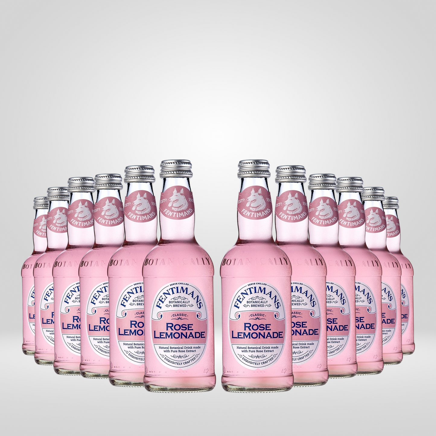 Fentimans Rozenlimonade (12x275ml)