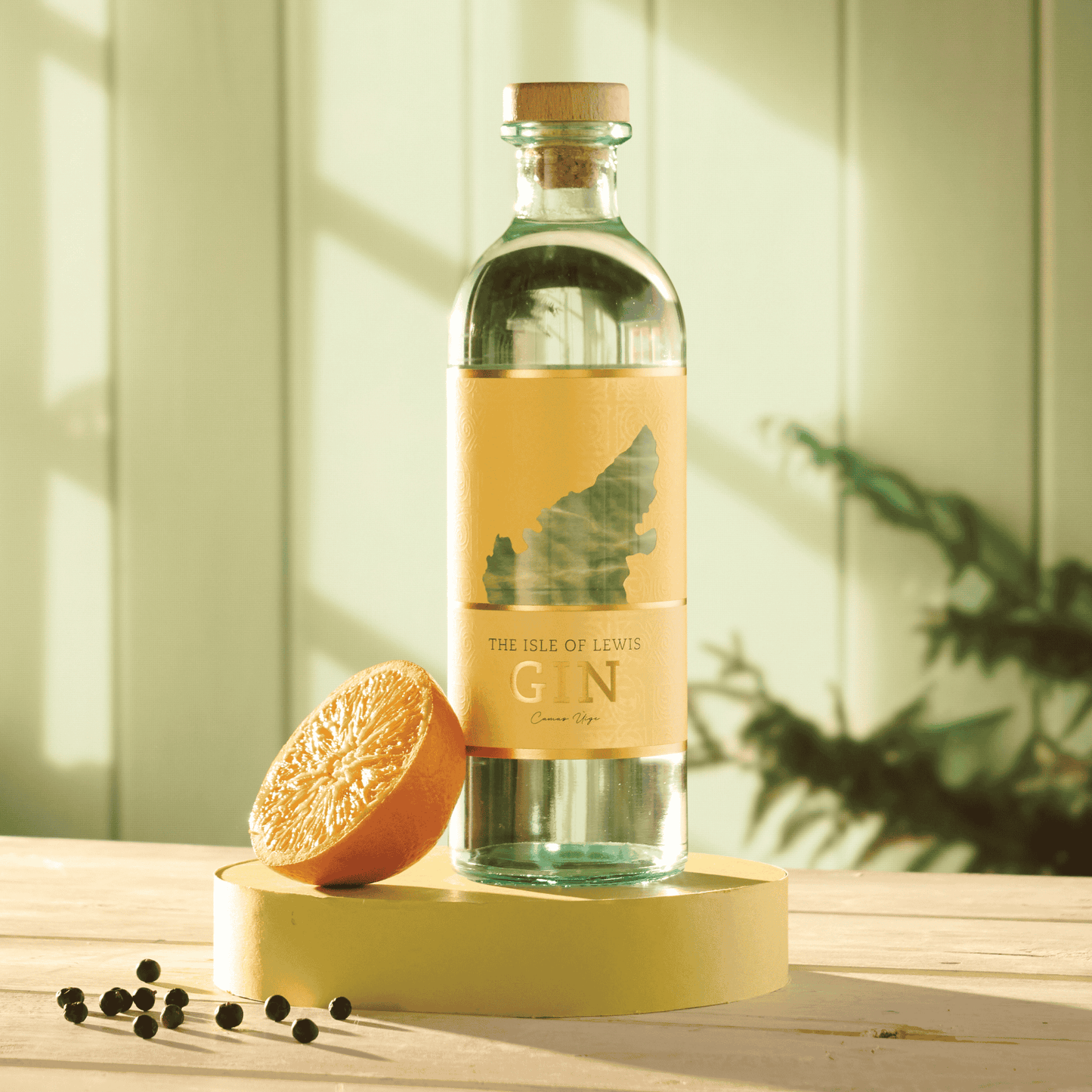 Isle of Lewis CamasÙige Gin | ABV 40% 70cl