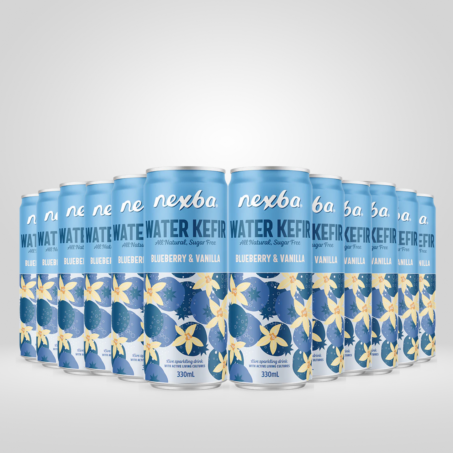 Nexba Blueberry & Vanilla Water Kefir | 12 x 330ml