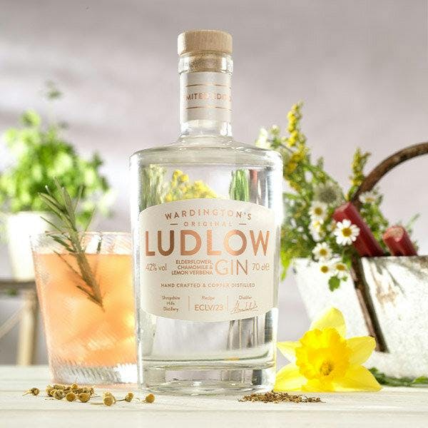 Ludlow Elderflower, Chamomile and Lemon Verbena Gin No. 5.jpg