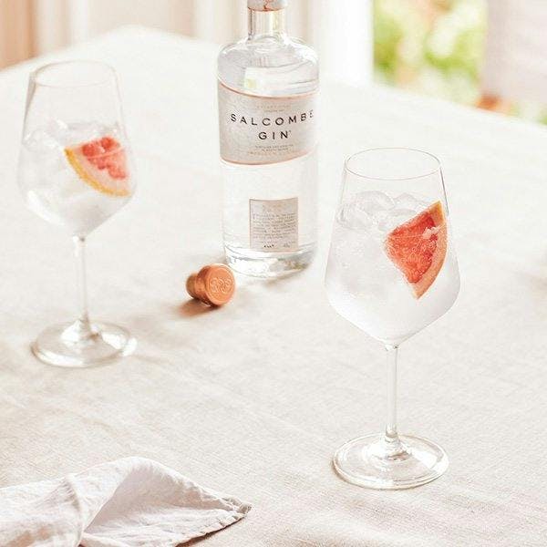 Salcombe Gin and tonic