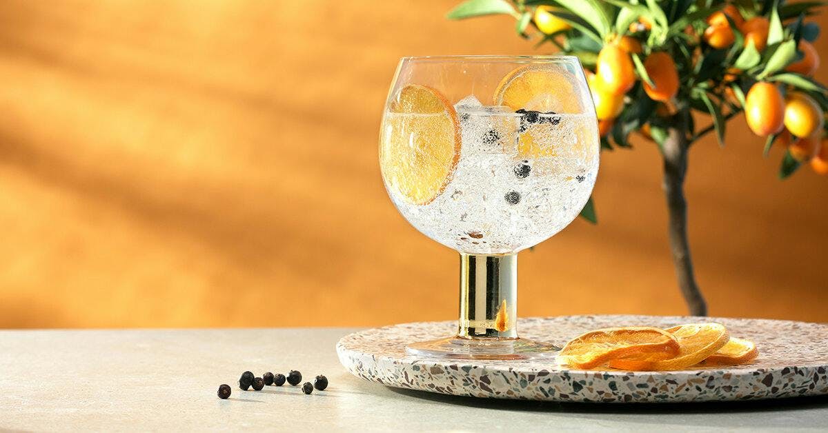 Craft Gin Club's Big Gin Awards 2020: which gin was voted as our members' favourite of the year?