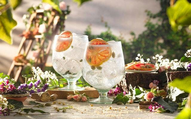 Our June 2021 Perfect G&T.jpg