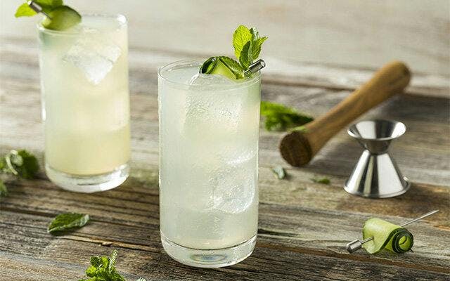 Gin Fizz cocktail recipe