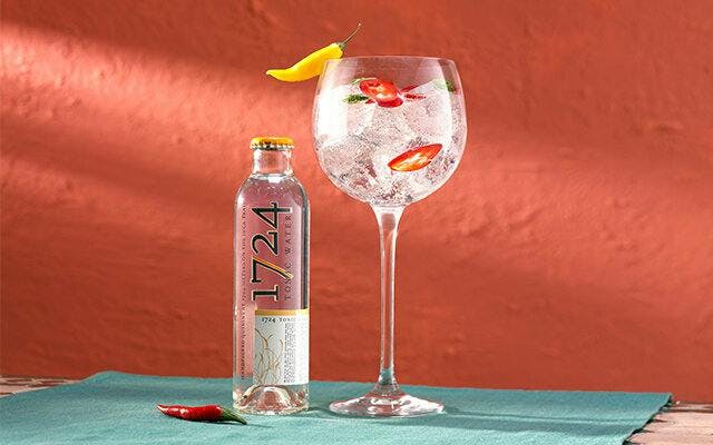Sliced red chilli adds a little heat to your ice-cold G&amp;T!