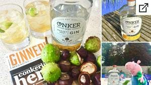 Gin And Groceries: Conker Gin!
