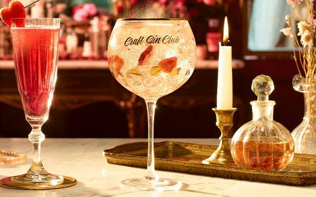 The perfect Valentine's Day gin and tonic recipe 