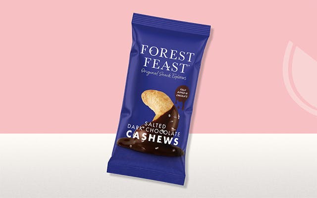 Forest Feast Salted Dark Chocolate Cashews