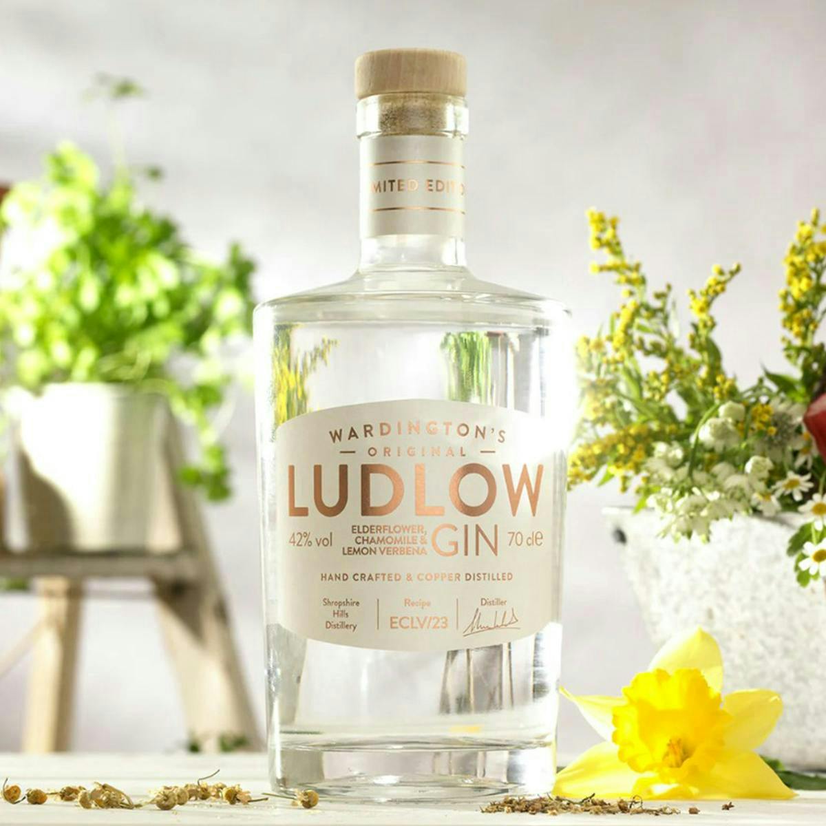 A bottle of Ludlow elderflower gin with some plants by its side to show the spring theme