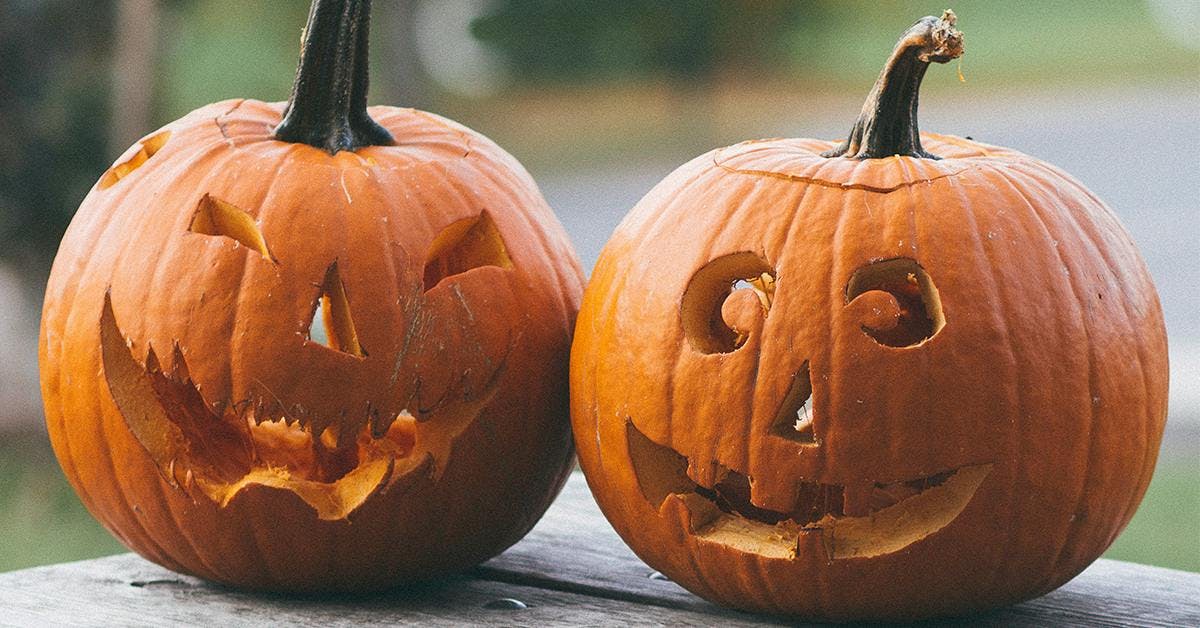Our members (trick or) treat us to these gintastic pumpkins!