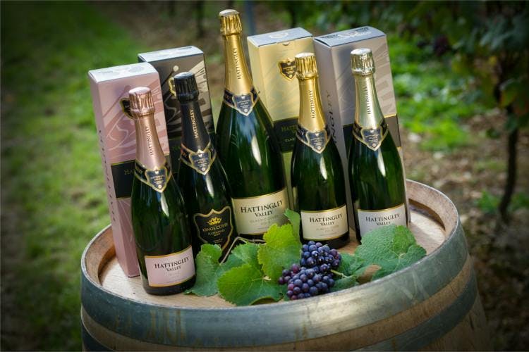 English fizz sparkling wine from Hattingley Valley