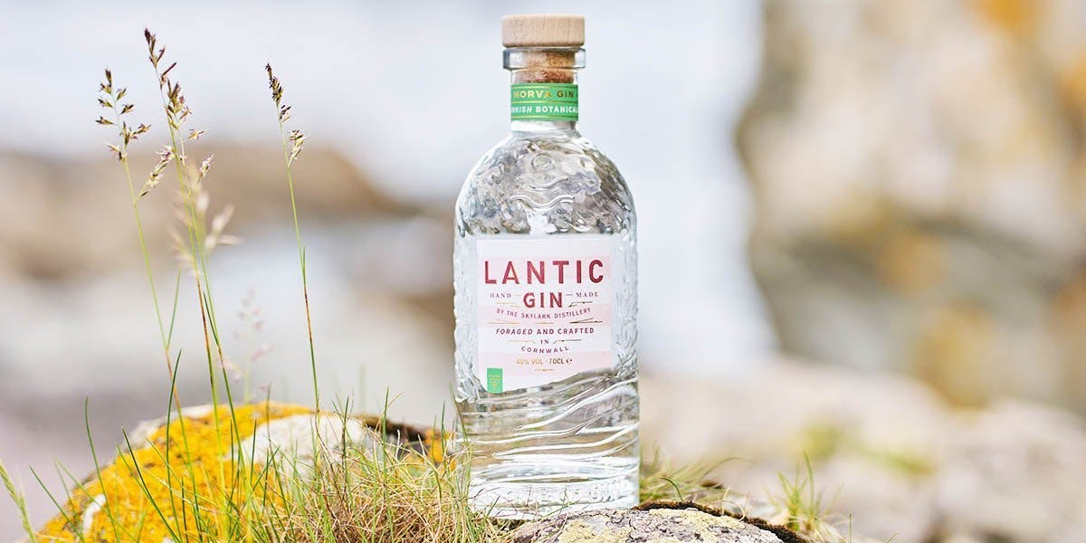 Discover everything you need to know about Lantic Morva Gin right here! 