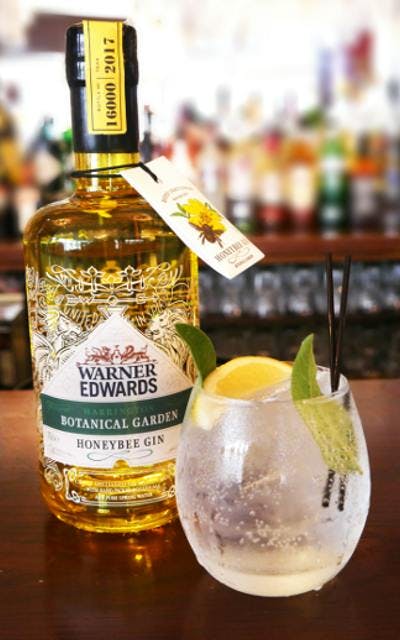 Warner Edwards Honeybee Gin and tonic on a bar garnished with lemon and mint