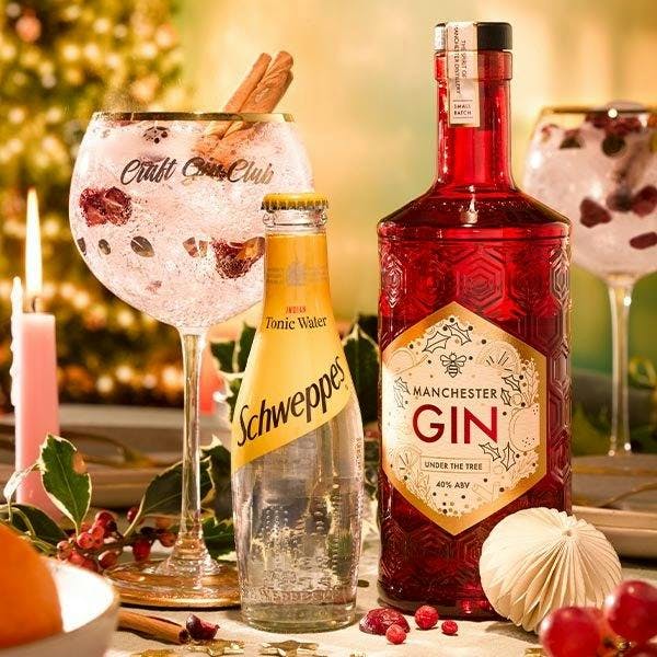 The perfect Christmas gin and tonic