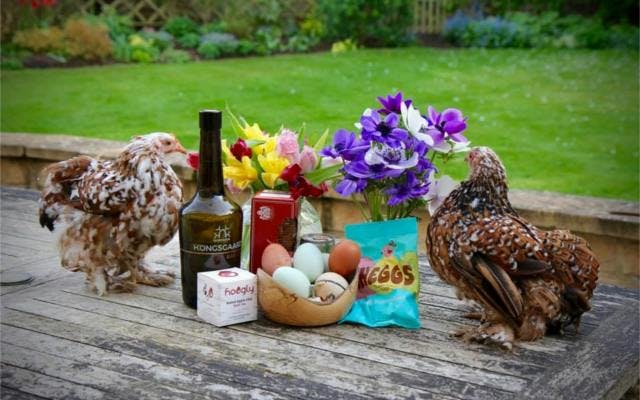 Kongsgaard ginstagram runner up chicken and eggs easter themed picture